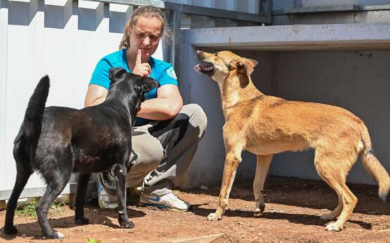Besuch bei Nadine Bernardy. Sie leitet das Tierheim Wiesbaden. Im Bild mit zwei Problemhunden. Hunden, die nicht so leicht zu vermitteln sind.