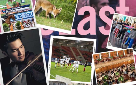 Veranstaltungskalender Wiesbaden