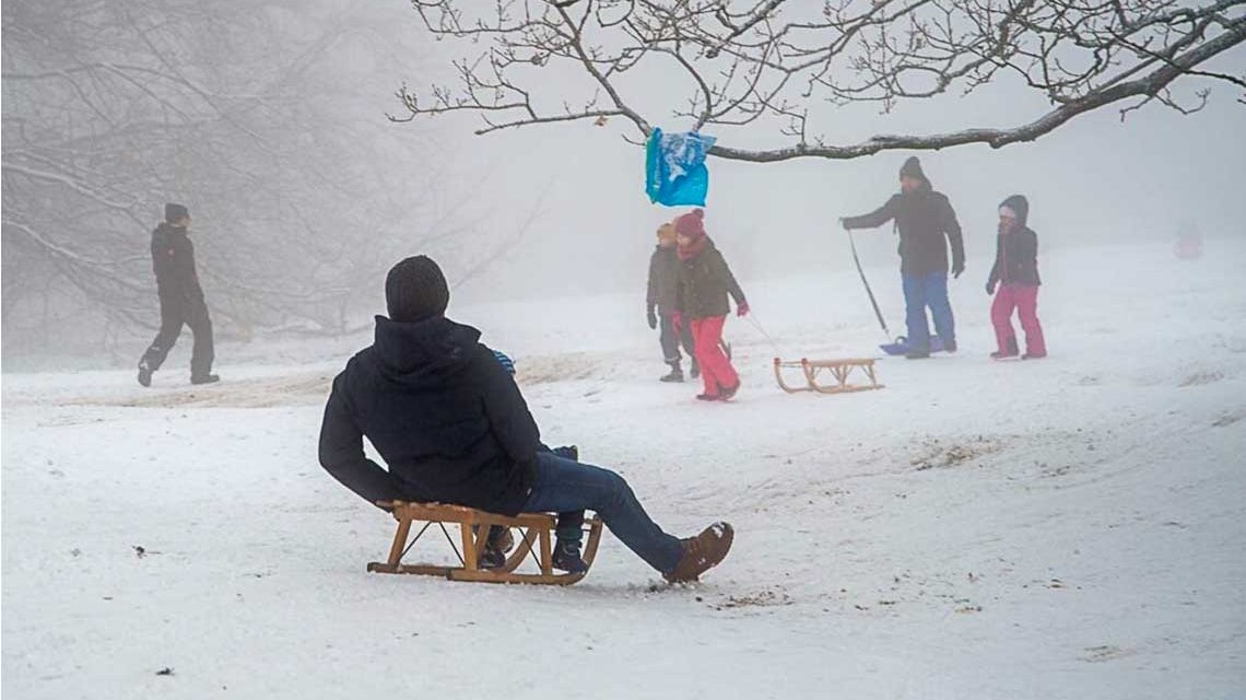 Rodeln und Schlitten fahren am Jagdschloss Platte