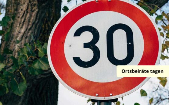 Tempolimits auf Teilstrecken, Schilder mit Tempo 30.