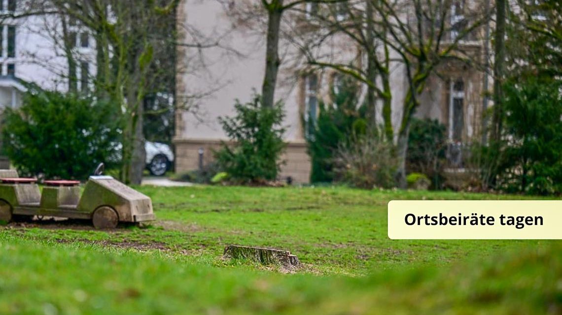 Neugestaltung des Hohenloheplatz in Nordost.