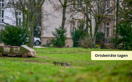 Neugestaltung des Hohenloheplatz in Nordost.