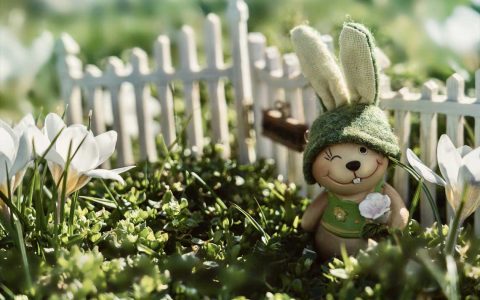 Ostermarkt Symbolfoto, Hase im Garten