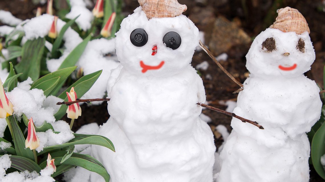 Schneemänner im Frühling sind dank des Märzwinters gar nicht so selten. Als Märzwinter wird eine in Mitteleuropa häufig vorkommende Wetterlage bezeichnet, die mit einem Kälteeinbruch vor allem in der ersten Märzhälfte verbunden ist. Quelle: Shutterstock