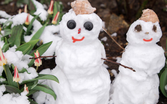 Schneemänner im Frühling sind dank des Märzwinters gar nicht so selten. Als Märzwinter wird eine in Mitteleuropa häufig vorkommende Wetterlage bezeichnet, die mit einem Kälteeinbruch vor allem in der ersten Märzhälfte verbunden ist. Quelle: Shutterstock