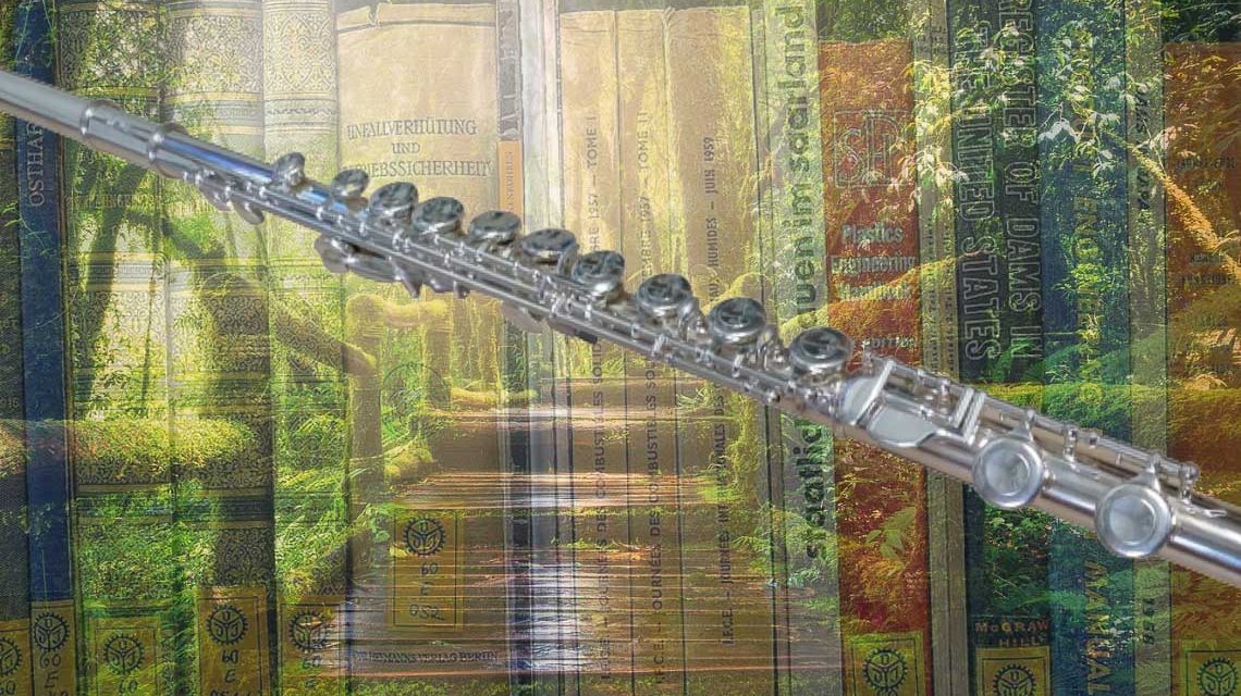 Musikalische Lesung in den Stadtbibiotheken