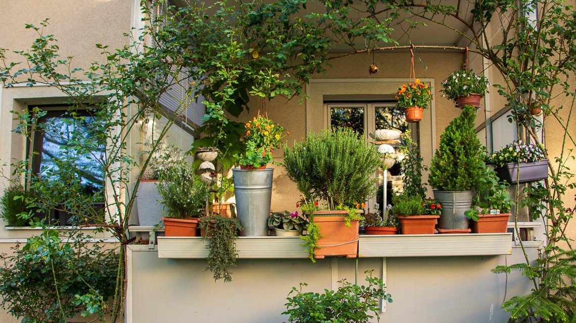 Tipps für Garten und Balkon