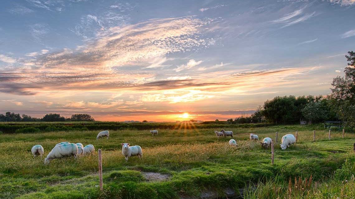 Pellworm an der Ostsee, Auszeit genießen