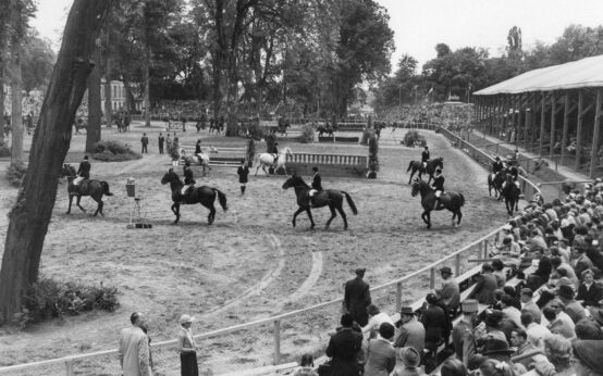 Pfingstturnier: Ein Blick in 1952 – das erste Turnier auf dem neuen großen Platz, der heute noch alljährlich internationale Top-Reiter empfängt.