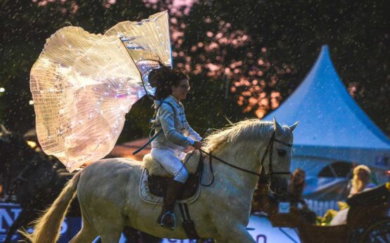 Pferdenacht beim Internationalen Pfingstturnier in Wiesbaden