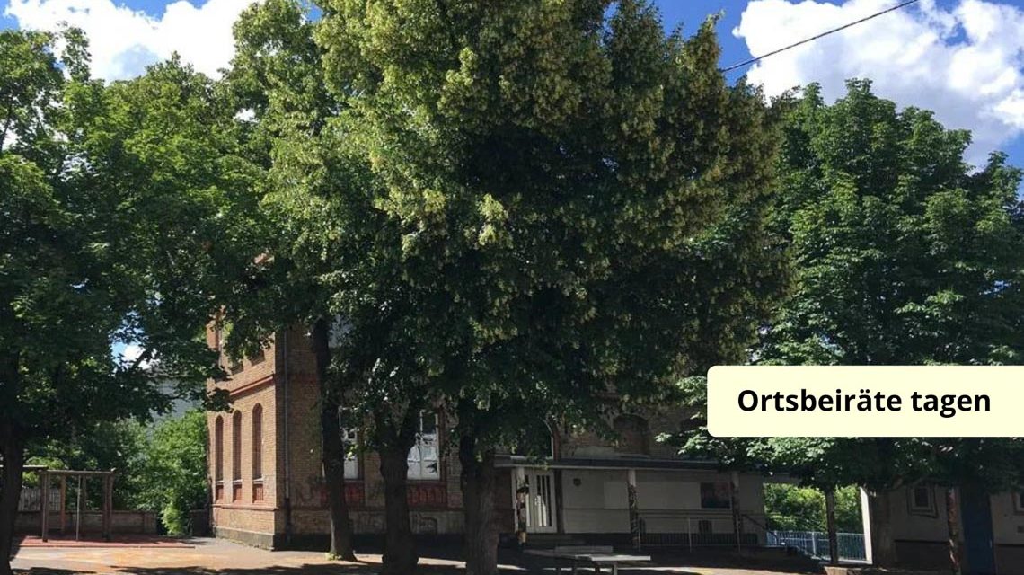 Die Hafenschule in Schierstein, nächste Woche Thema der Ortsbeirat Sitzung.