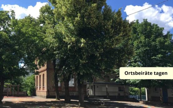 Die Hafenschule in Schierstein, nächste Woche Thema der Ortsbeirat Sitzung.