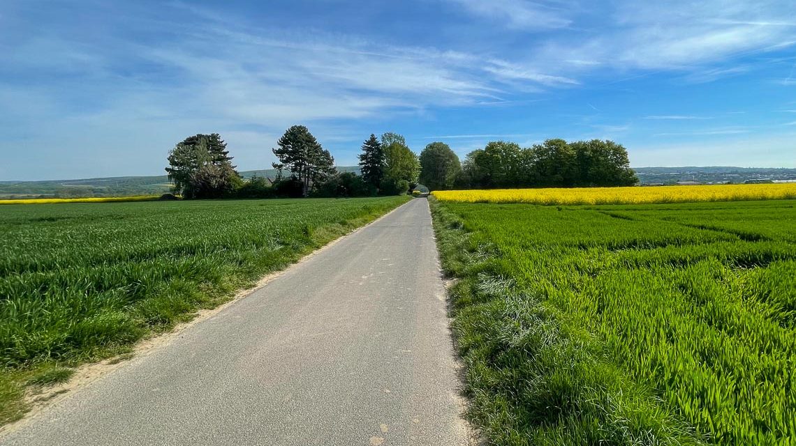 Frühsommerluft hält im Südwesten Einzug