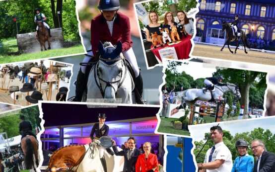 85. Internationales Pfingstturnier Wiesbaden