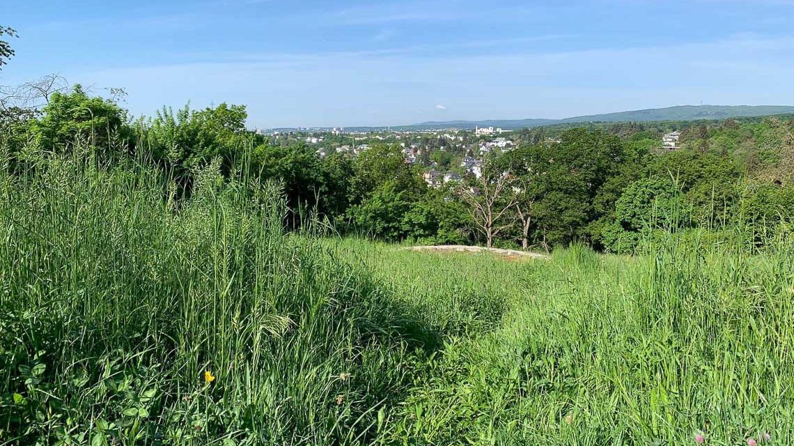 Segelfliegerwiese an der Kloppenheimer Steige