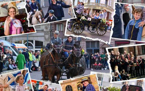 Bildergalerie zum Kutschen Korso 2023