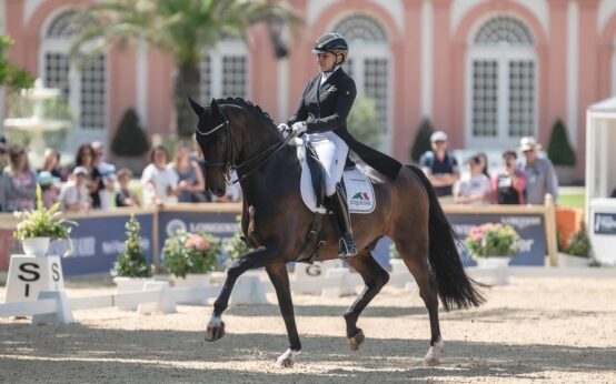 Dorothee Schneider in der Dressur