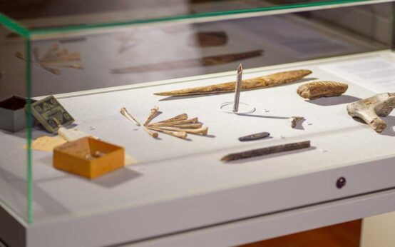 Prähistorische Funde im Stadtmuseum am Markt: über Jäger und Sammler.