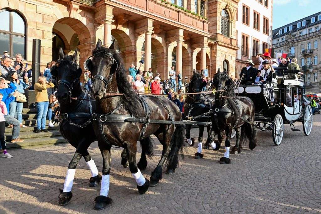 Kutschenkorso durch Wiesbaden ©2023 Volker Watschounek