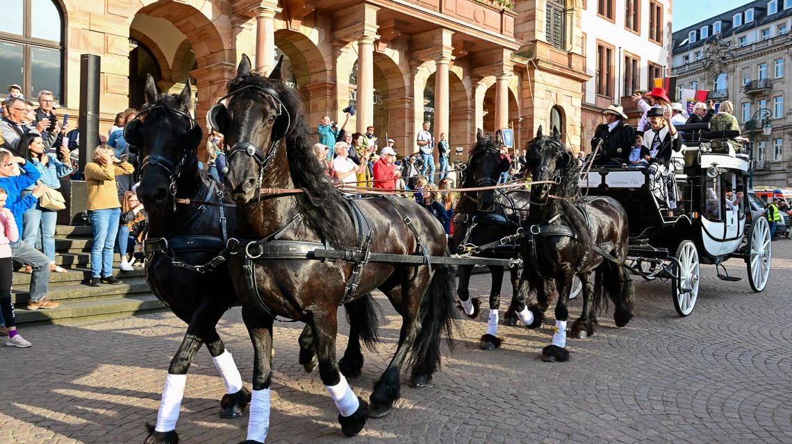 Kutschenkorso durch Wiesbaden ©2023 Volker Watschounek