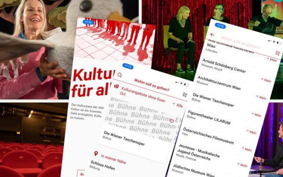 Kulturpass, App, Jugendparlament