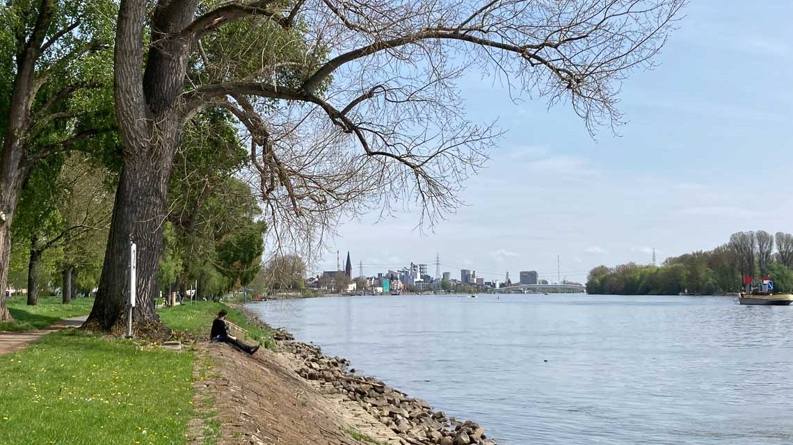 Neue Sitzstufen für das Rheinufer in Biebrich.