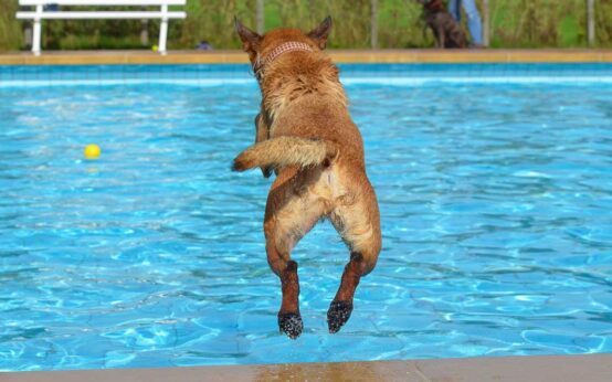 Bei heißen tagen tut Abkühlung nit