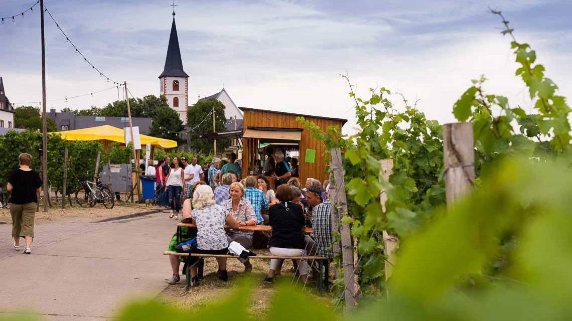 Weinfest in den Weinbergen