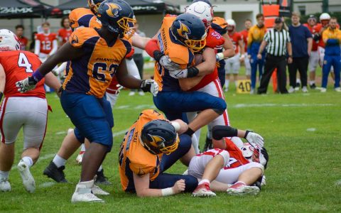 Wiesbaden Phantoms