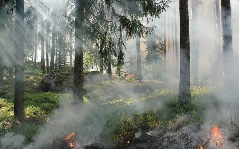Waldbrand-Warnstufe 4