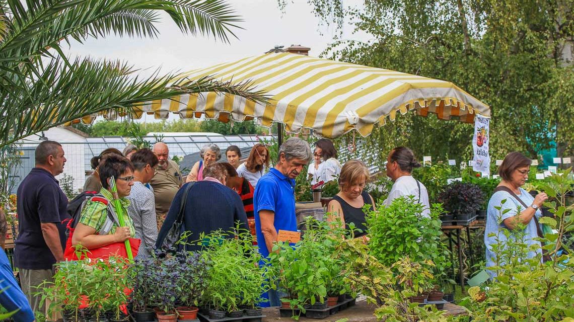 Biogartenmesse auf der Domäne Mechtildshausen