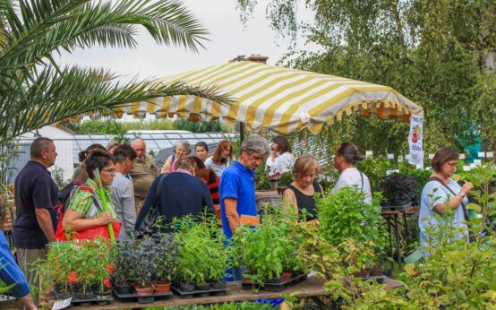 Biogartenmesse auf der Domäne Mechtildshausen