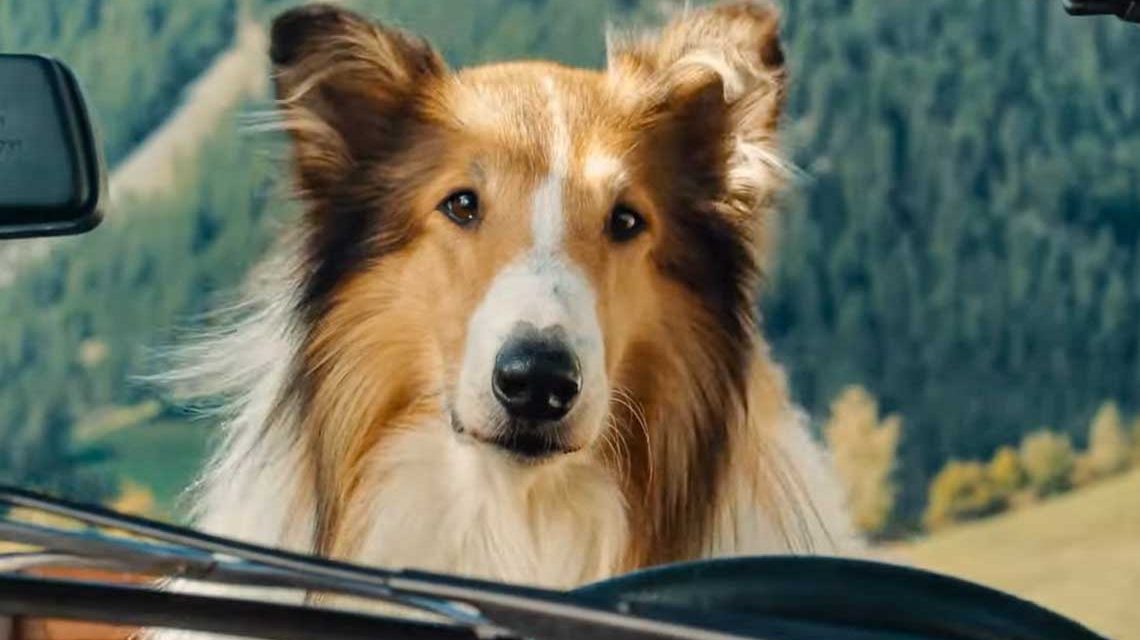 Filmstarts: Lassie