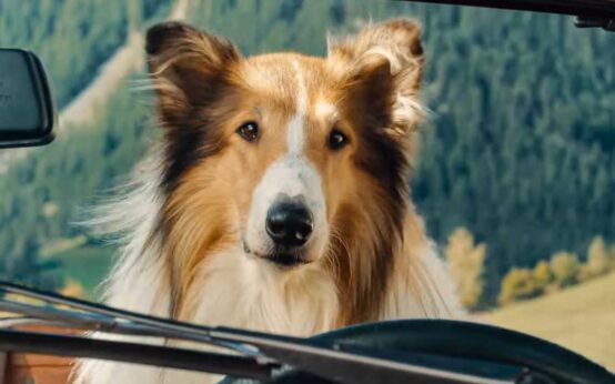 Filmstarts: Lassie
