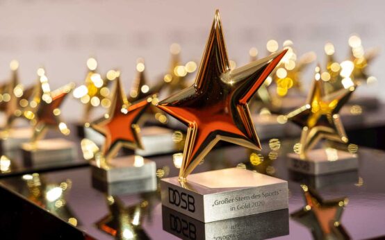 Archivfoto: Sterne des Sports, der Award 2020 auf einem Tisch