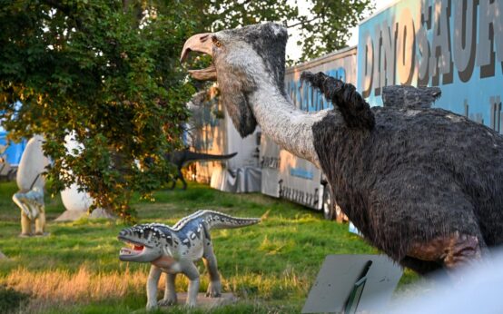 Dinosaurier Ausstellullung in Biebrich