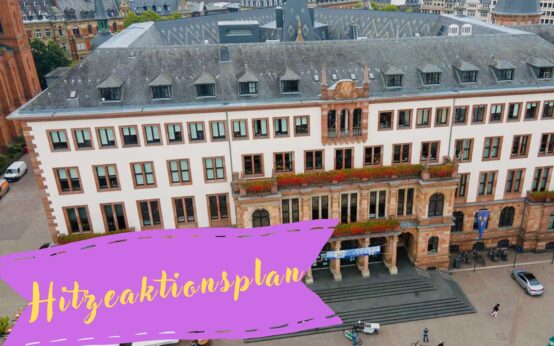 Hitzeaktionsplan erfolgreich gestartet.