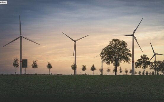 Grüner Strom, Strom, Windräder zwischen Bäumen.