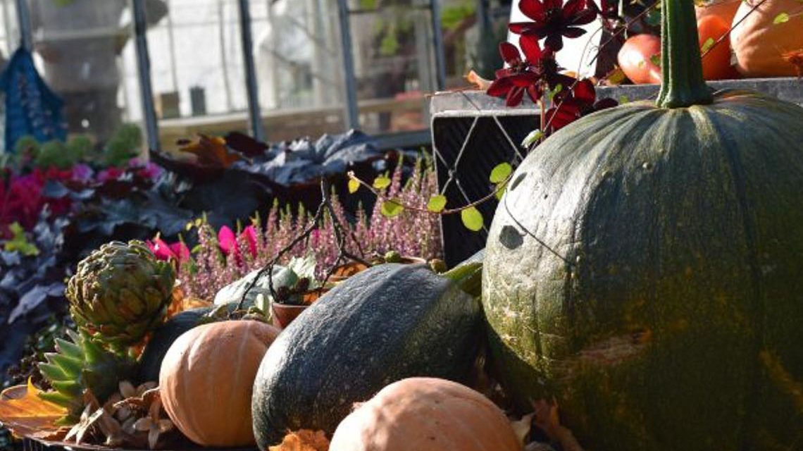Herbstmarkt am Schützenhaus, Bild zeigt herbstlich dekorierten Tisch,