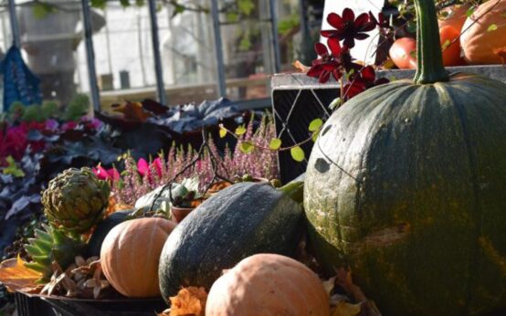 Herbstmarkt am Schützenhaus, Bild zeigt herbstlich dekorierten Tisch,
