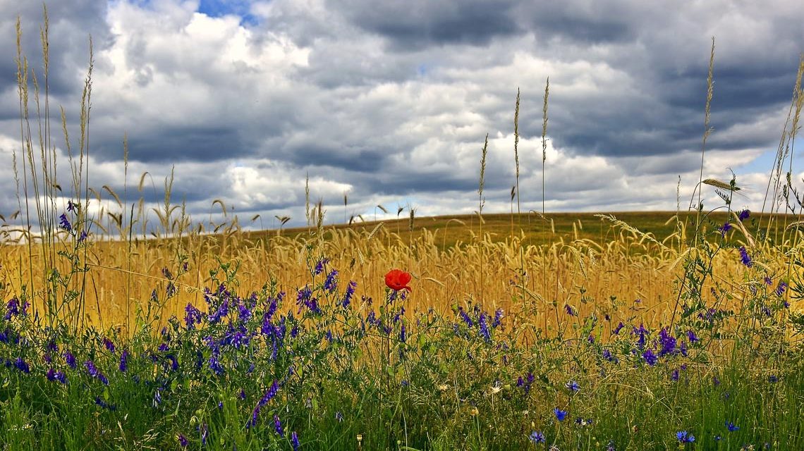 Landschaft, Dierfeld, Idyll