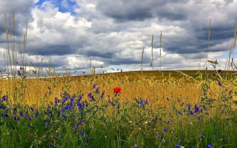 Landschaft, Dierfeld, Idyll
