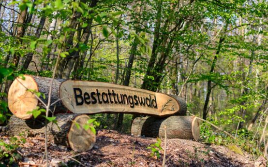 Bestattungswald, Schild kennzeichnet den Bestattungswald.