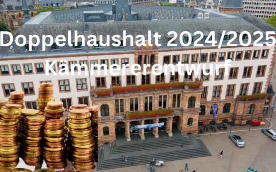 Doppelhaushalt 2024/2025, Das Bild zeigt das Rathaus von Wiesbden mit einem Geldhaufen