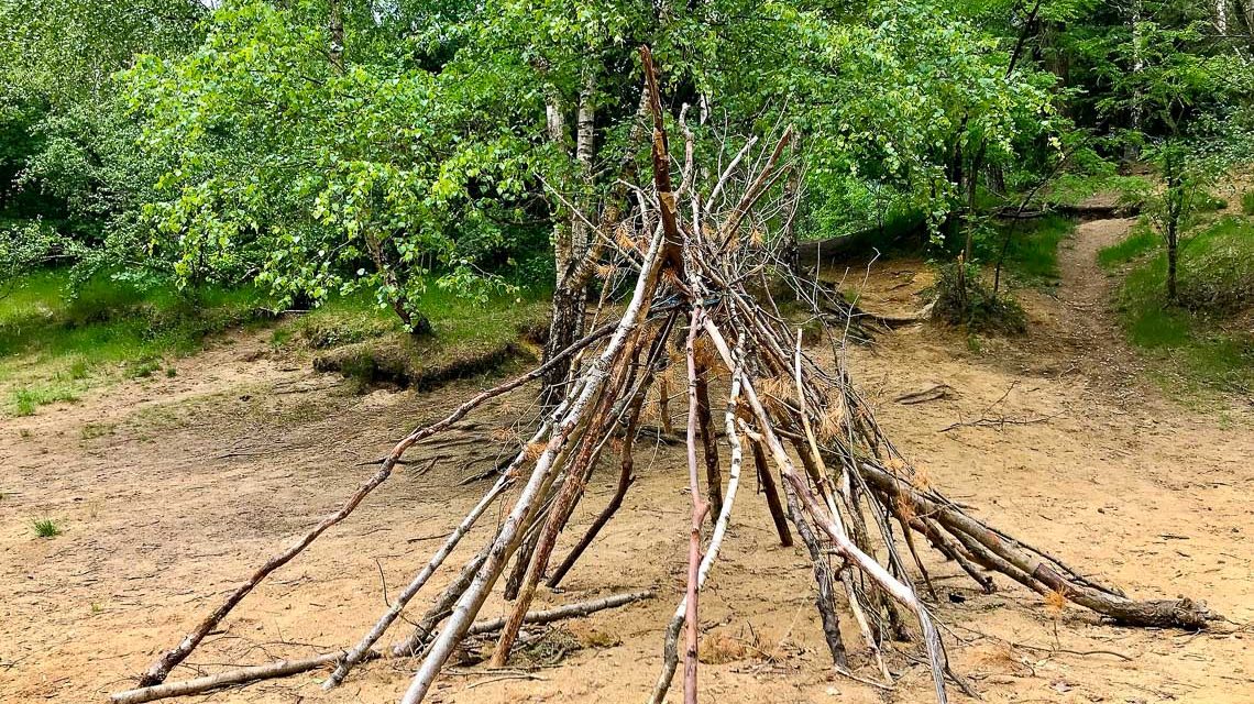 Wildnistage an der Carl-von-Ossietzky-Schule