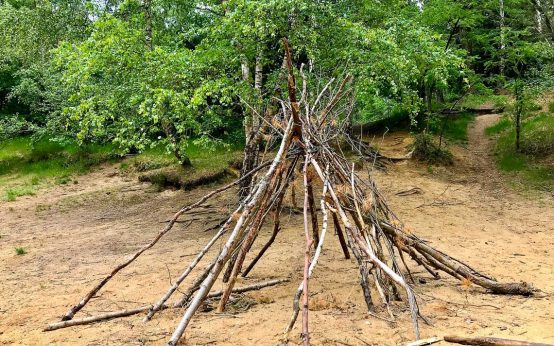 Wildnistage an der Carl-von-Ossietzky-Schule