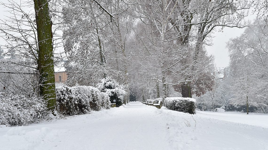 Schnee und Winterstimmung