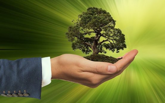 Trends in der Nachhaltigkeitsdiskussion, einem Zwischenfazit der Agenda 2030