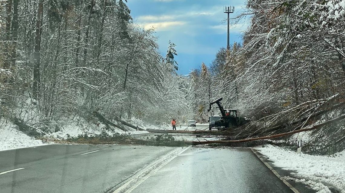 Ast- und Baumbruch durch Schnee blockiert Landstraße