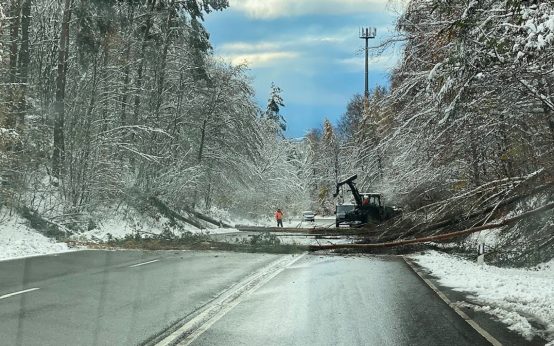 Ast- und Baumbruch durch Schnee blockiert Landstraße
